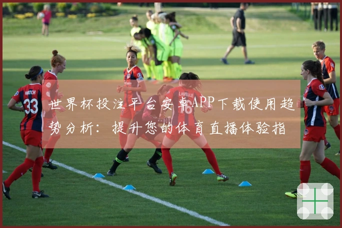 世界杯投注平台安卓APP下载使用趋势分析：提升您的体育直播体验指南