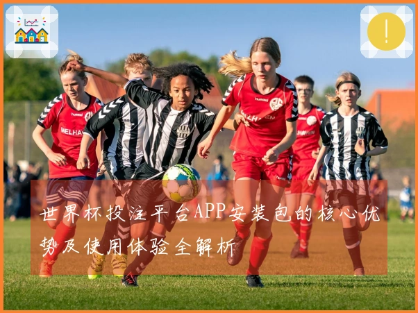 世界杯投注平台APP安装包的核心优势及使用体验全解析