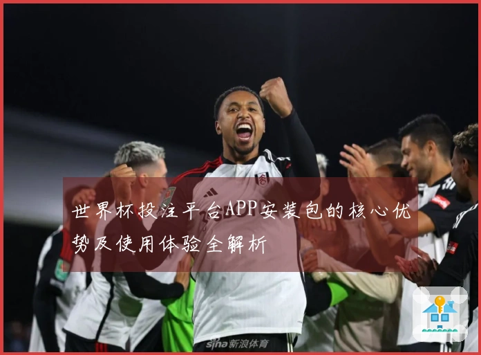 世界杯投注平台APP安装包的核心优势及使用体验全解析