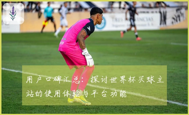 用户口碑汇总：探讨世界杯买球主站的使用体验与平台功能