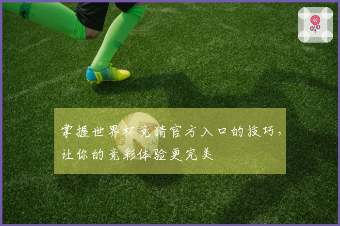掌握世界杯竞猜官方入口的技巧，让你的竞彩体验更完美