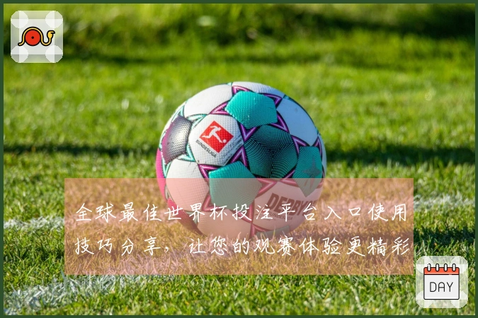 全球最佳世界杯投注平台入口使用技巧分享，让您的观赛体验更精彩