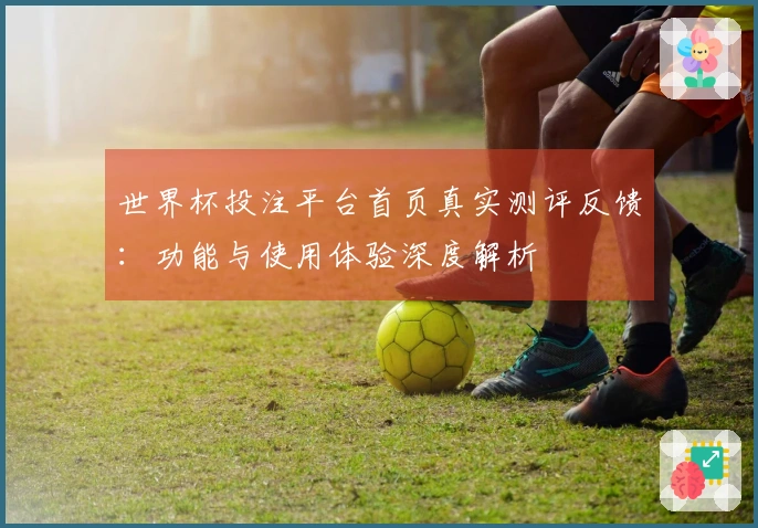 世界杯投注平台首页真实测评反馈：功能与使用体验深度解析