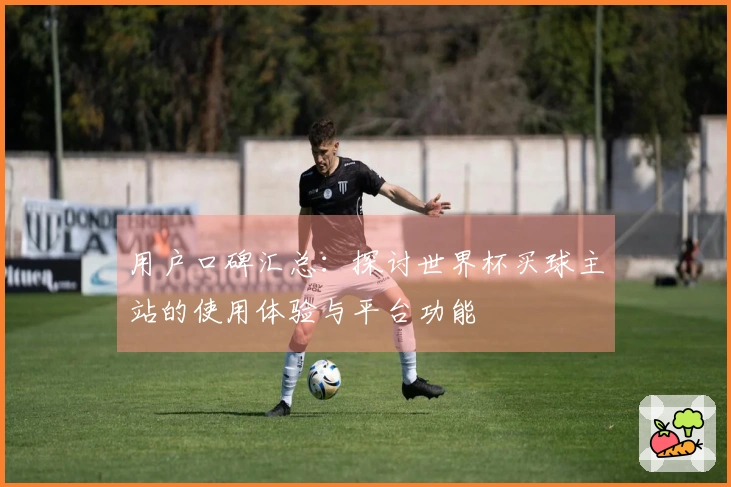 用户口碑汇总：探讨世界杯买球主站的使用体验与平台功能