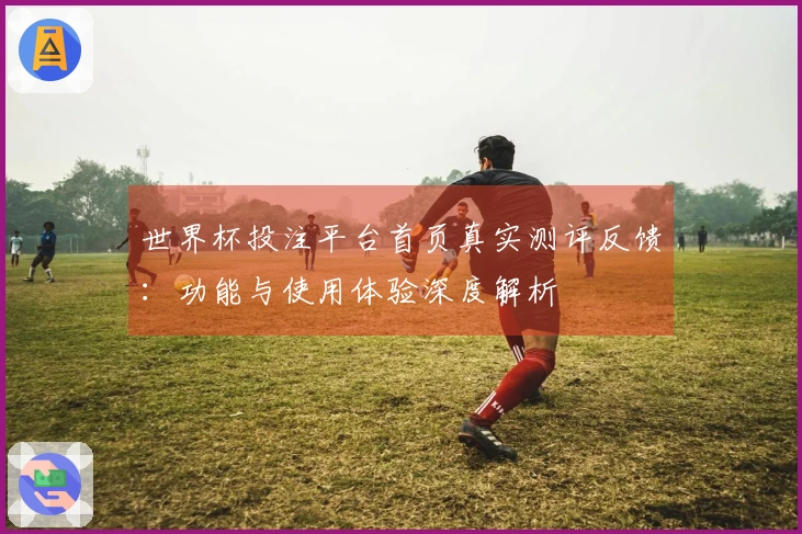 世界杯投注平台首页真实测评反馈:功能与使用体验深度解析