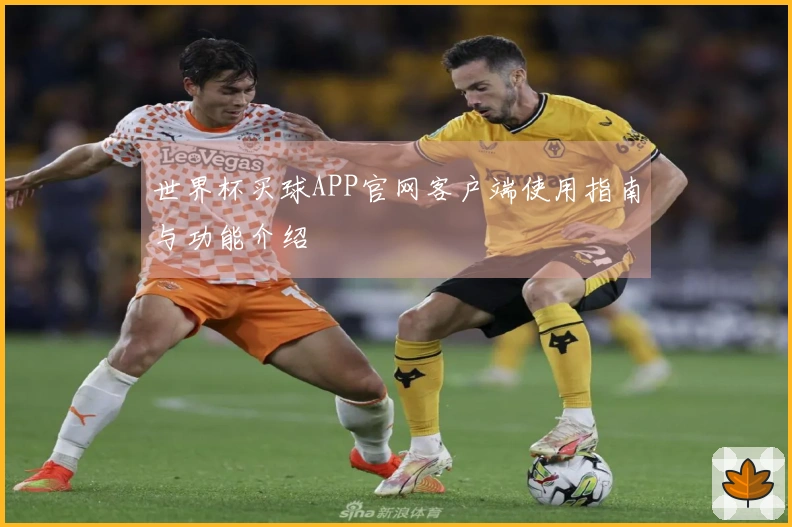 世界杯买球APP官网客户端使用指南与功能介绍