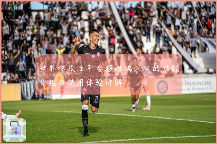 世界杯投注平台移动端入口的功能介绍与使用体验详解