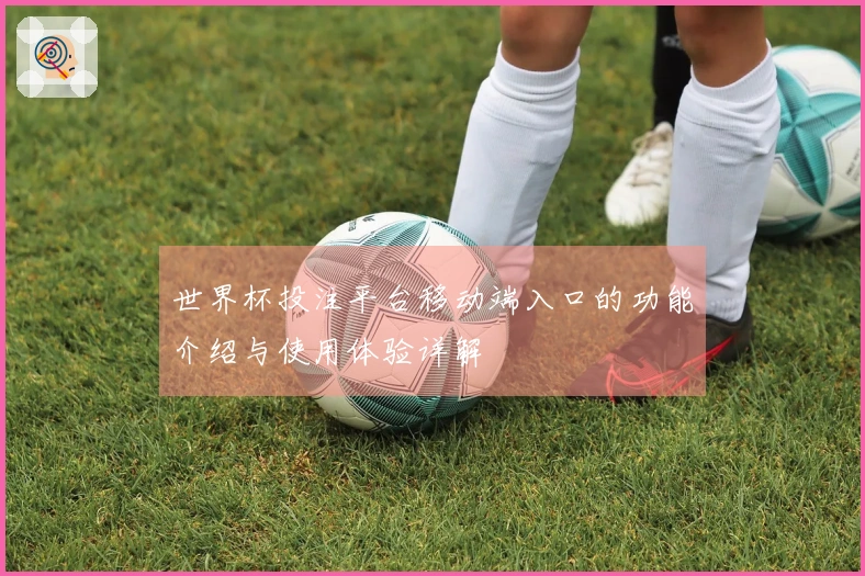世界杯投注平台移动端入口的功能介绍与使用体验详解